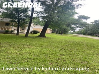 Lawn Mowing Service nearby Conroe, TX, 