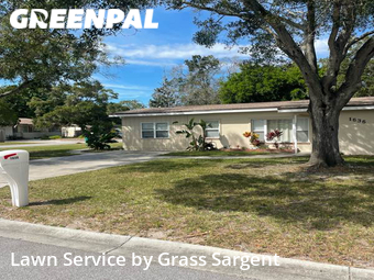 Grass Cut nearby Clearwater, FL, 
