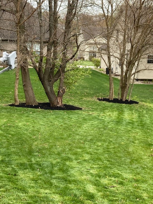 Order Lawn Care in South Bend, IN, 46619