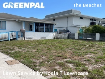 Lawn Cutting nearby Neptune Beach, FL, 