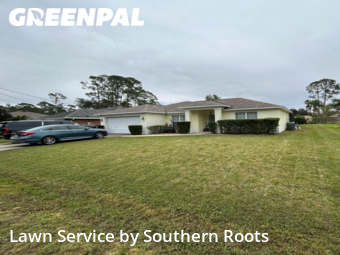 Lawn Maintenance nearby Palm Coast, FL, 