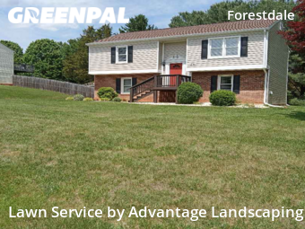 Yard Cutting nearby Lynchburg, VA, 