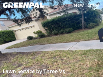 Lawn Cuttingin Tampa,33647,Lawn Service by Three Vs , work completed in Nov , 2025