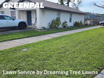 Lawn Cut nearby Pinellas Park, FL, 