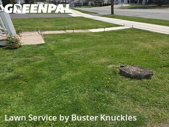 Grass Cutting nearby Blakely, PA, 