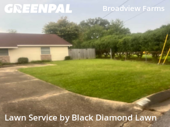 Grass Cut nearby Pensacola, FL, 