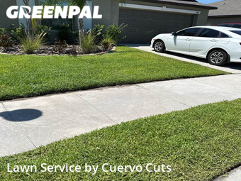 Yard Cutting nearby Sun City Center, FL, 