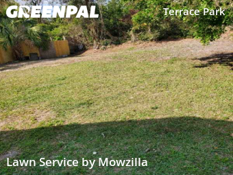 Lawn Mow nearby Tampa, FL, 