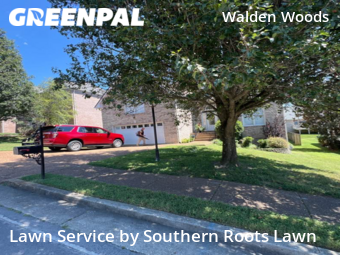 Lawn Cuttingin Hermitage,37076,Lawn Service by Southern Roots Lawn, work completed in Nov , 2025