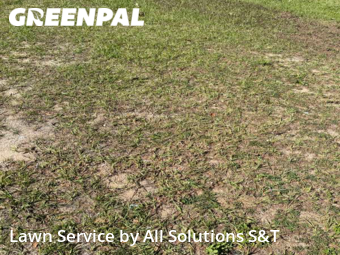 Lawn Maintenance nearby Poinciana, FL, 