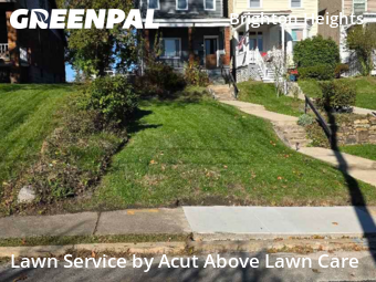 Lawn Upkeep in Pittsburgh, 15212, Yard Management by Acut Above Lawn Care, work completed in Nov , 2025