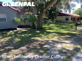Lawn Cutting nearby Daytona Beach, FL, 