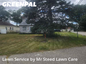 Yard Care Services in Utica, 48317, Yard Mowing by Mr Steed Lawn Care, work completed in Dec , 2025