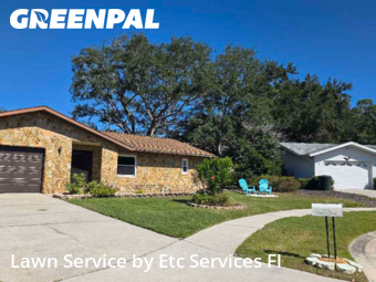 Lawn Mowingin Dunedin,34698,Lawn Care by Etc Services Fl, work completed in Nov , 2025