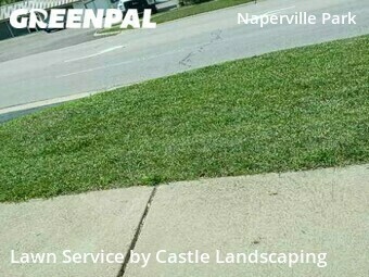 Grass Cut nearby Naperville, IL, 