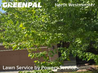 Work completed by reliable-lawn-care-service-in-Westminster-CA