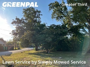 Lawn Cuttingin Houston,77004,Grass Cutting by Simply Mowed Service, work completed in Nov , 2025