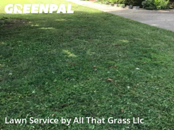 Lawn Cutting nearby Virginia Beach, VA, 
