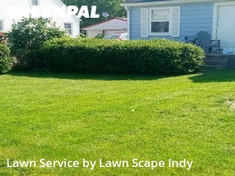 Lawn Care nearby Indianapolis, IN, 