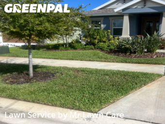 Yard Cutting nearby Apollo Beach, FL, 