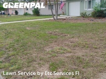 Lawn Cuttingin Clearwater,33764,Lawn Mowing by Etc Services Fl, work completed in Jun , 2026