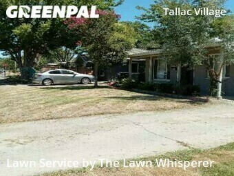 Lawn Cut nearby Sacramento, CA, 