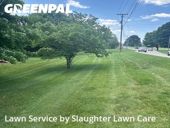 Lawn Care Service nearby Powell, TN, 