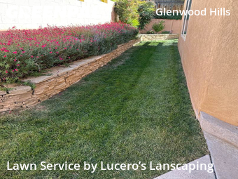 Lawn Cut nearby Albuquerque, NM, 