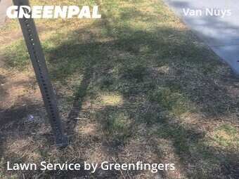 Landscaping Installation Los Angeles,91411,Landscaping Maintenance by Greenfingers , work completed in Jun , 2026