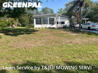 Lawn Mow nearby Clermont, FL, 