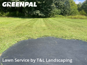 Yard Mowing nearby Forest, VA, 