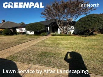 Landscaping Services In Dallas,75248,Landscaping Maintenance by Alfas Landscaping, work completed in Dec , 2025