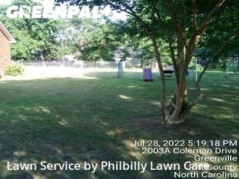 Lawn Cutting nearby Greenville , NC, 