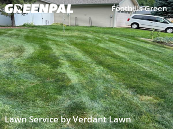 Lawn Cut nearby Fort Collins, CO, 