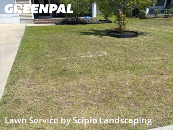 Yard Mowingin Elgin,29045,Grass Cut by Scipio Landscaping , work completed in Jan , 2026