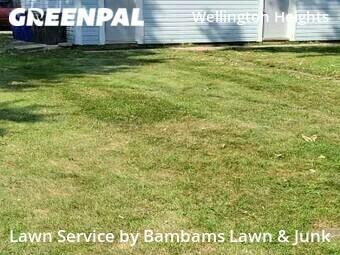 Lawn Cut nearby Cedar Rapids, IA, 