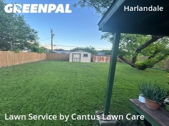 Yard Cutting nearby San Antonio, TX, 