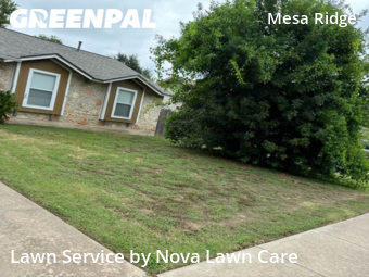 Lawn Cutting nearby Round Rock, TX, 