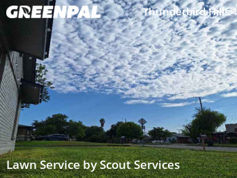 Grass Cutting nearby San Antonio, TX, 