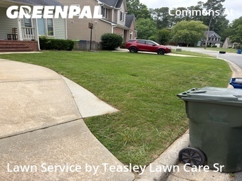 Lawn Care Service nearby Raleigh, NC, 