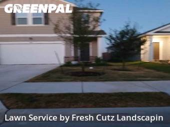 Grass Cut nearby Maxwell, TX, 