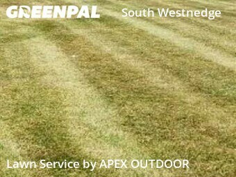 Lawn Cut nearby Kalamazoo, MI, 