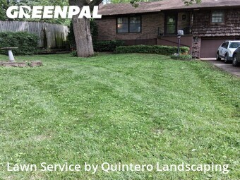 Lawn Mow nearby Independence, MO, 