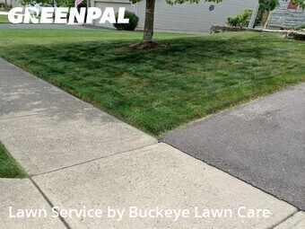 Lawn mowed in Westerville, 43082