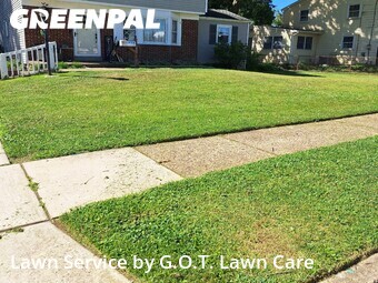 Lawn Cut nearby Pennsauken Township, PA, 