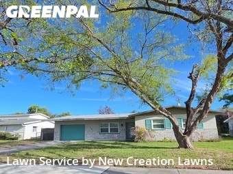 Grass Cut nearby Brandon, FL, 