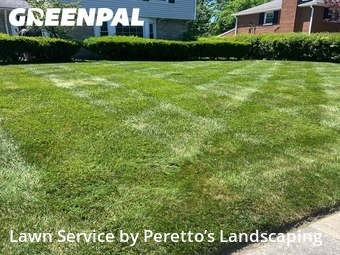 Grass Cutting nearby Shaker Heights, OH, 