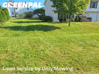 Yard Cutting nearby Albany, NY, 