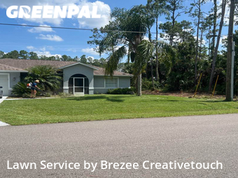Grass Cut nearby Palm Coast, FL, 