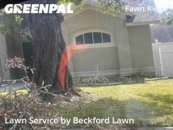 Lawn Mow nearby Tampa, FL, 